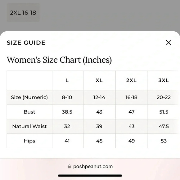 Posh Peanut Georgette Swimsuit - Picture 7 of 7